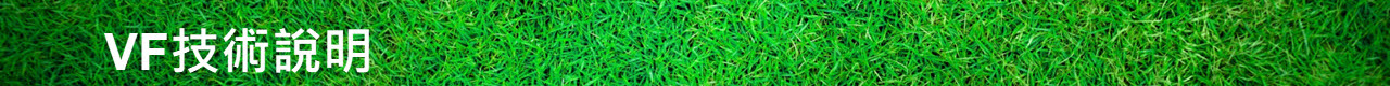 VF技術說明