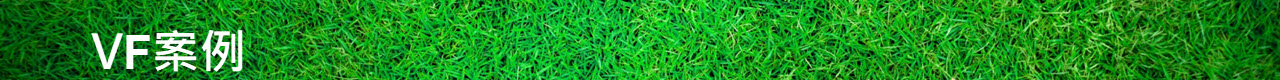 VF案例