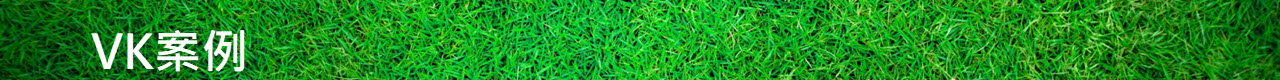 VK案例
