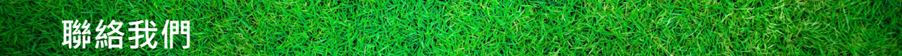 聯絡我們